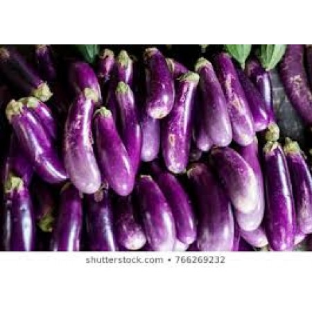 BRINJAL (Purple Big)