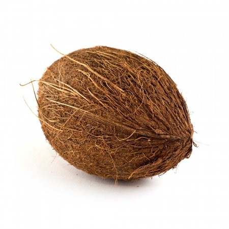 COCONUT (Malaysia)-1pcs