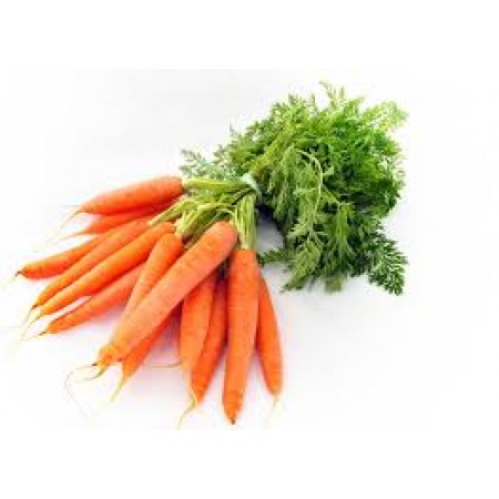 CARROT