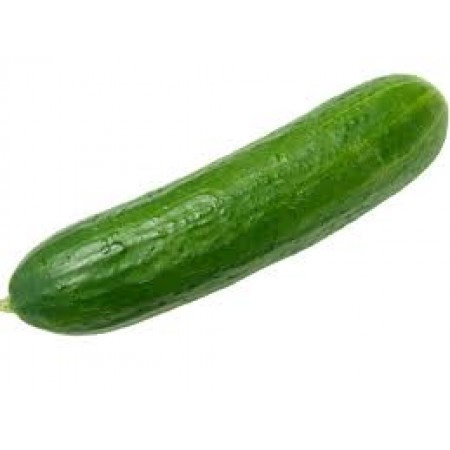 CUCUMBER (India)